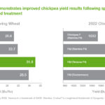 How to Get a Cricket ID Online – Complete Step‑by‑Step Guide (2026 Edition)